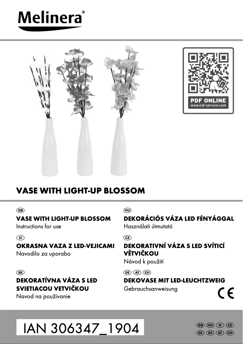 Imagen de la primera página del manual del dispositivo IAN 306347