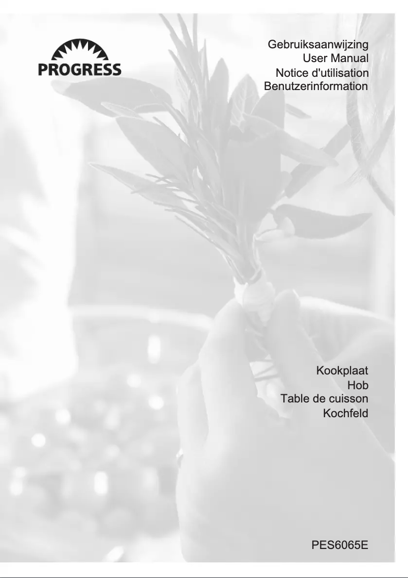 Imagen de la primera página del manual del dispositivo PES6065E