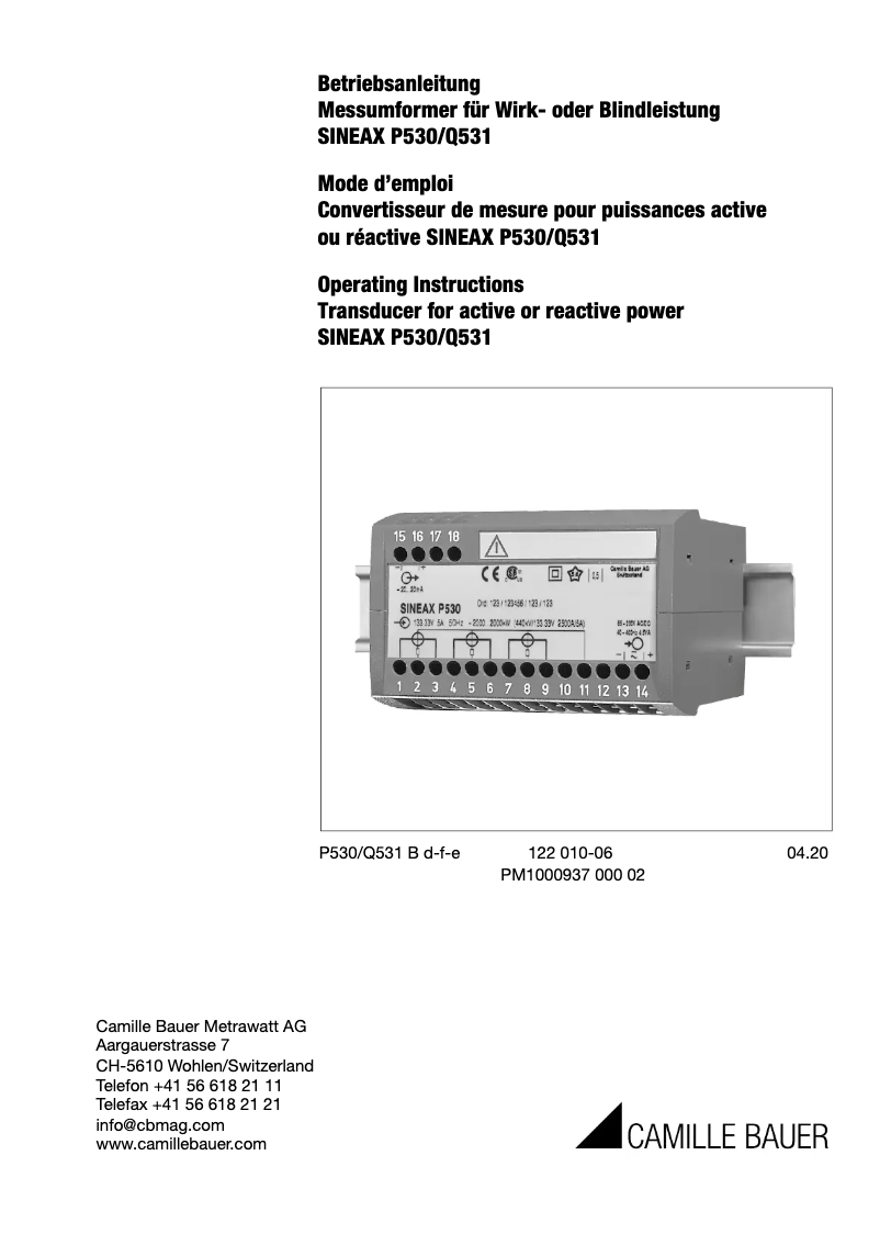 Imagen de la primera página del manual del dispositivo SINEAX P530