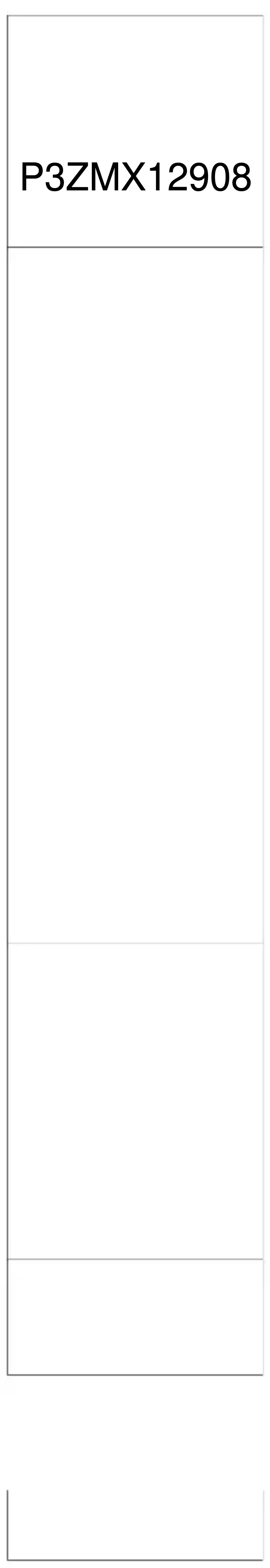 Imagen de la primera página del manual del dispositivo P3ZMX12908