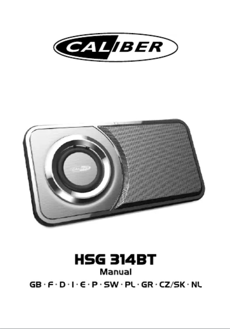 Imagen de la primera página del manual del dispositivo HSG314BT