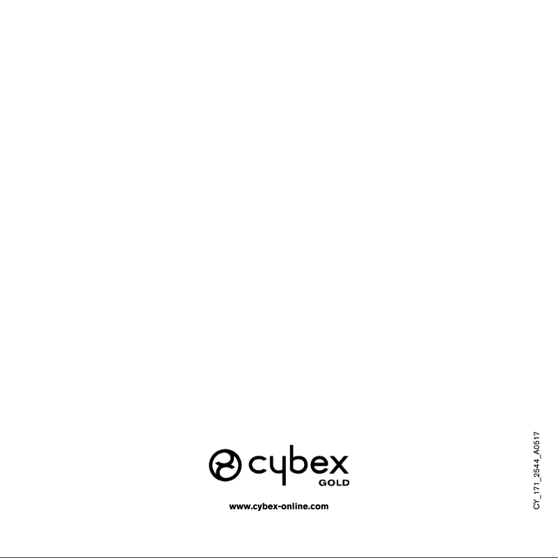 Imagen de la primera página del manual del dispositivo MAIRA.click