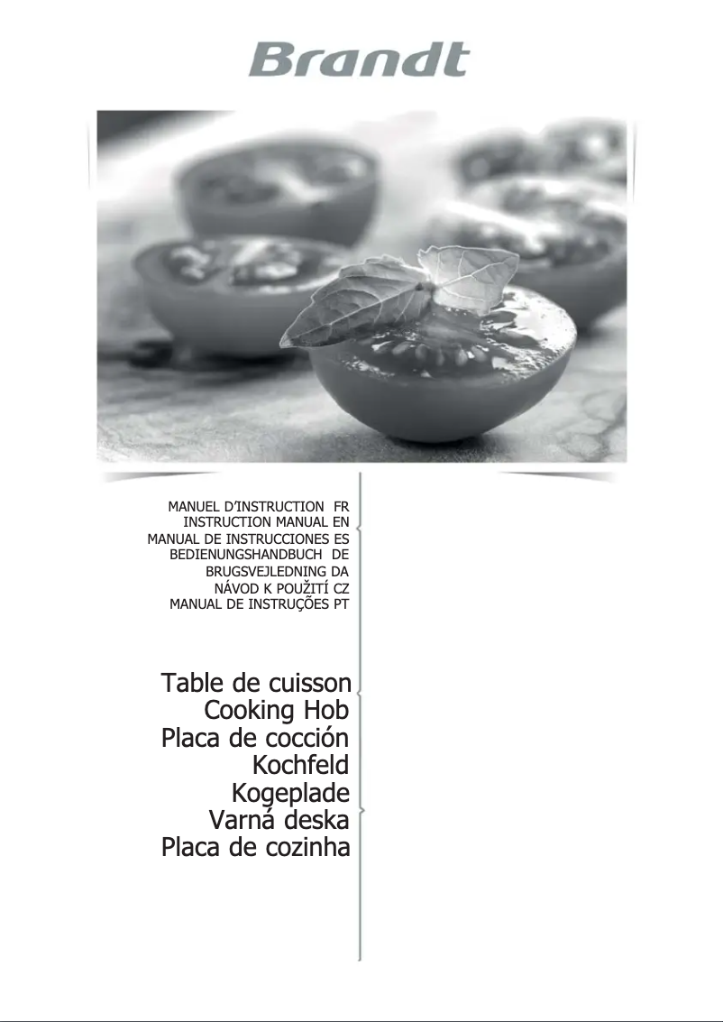 Imagen de la primera página del manual del dispositivo BPI6420X