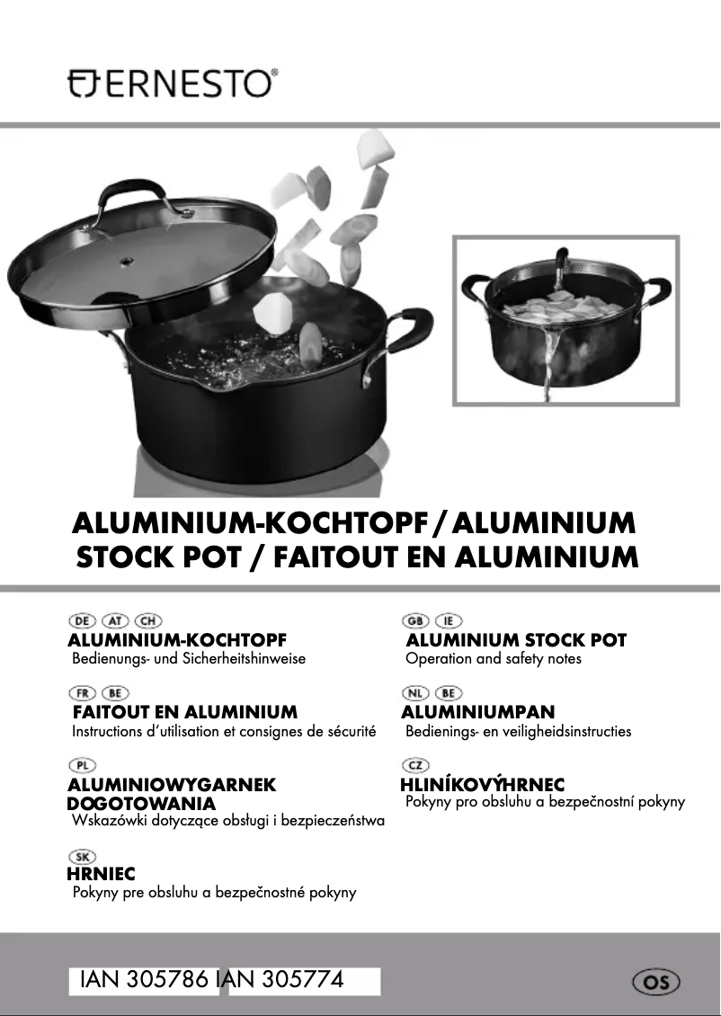 Página 1 del manual Manual de usuario Ernesto IAN 305786