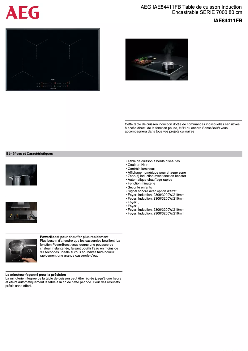 Imagen de la primera página del manual del dispositivo IAE84411FB