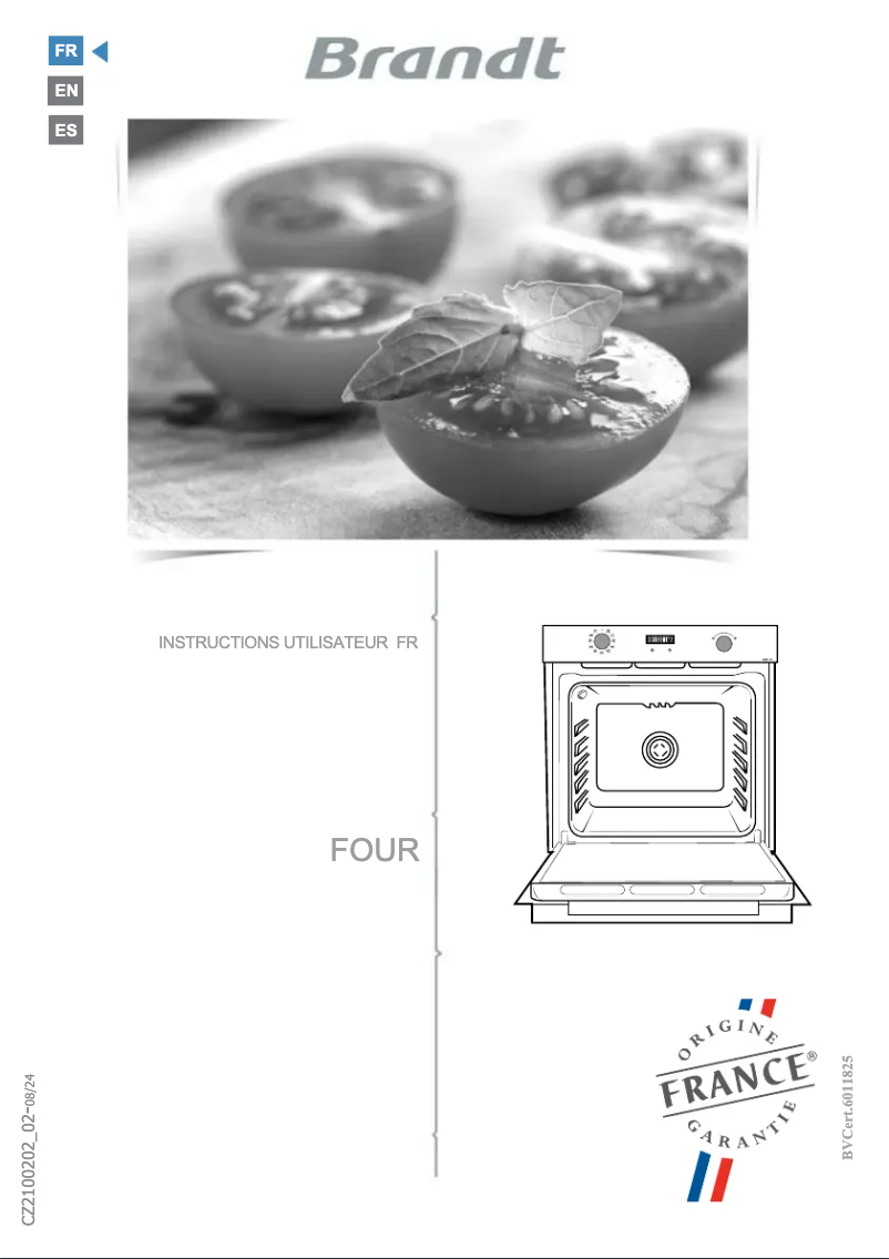 Imagen de la primera página del manual del dispositivo BOP2010B