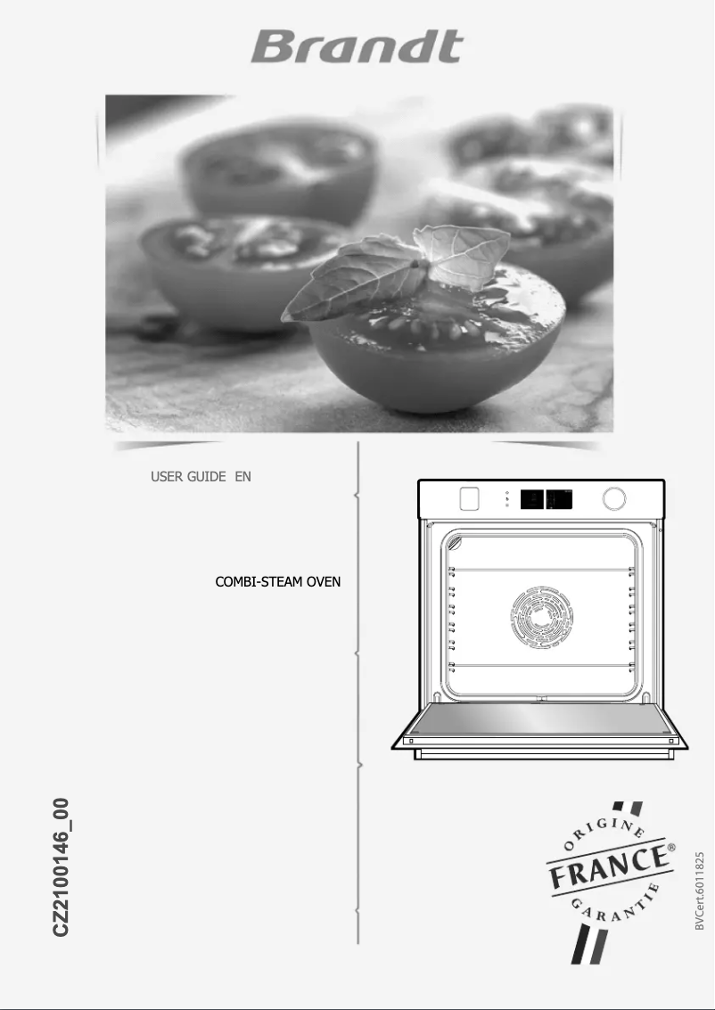 Imagen de la primera página del manual del dispositivo BOR7586G