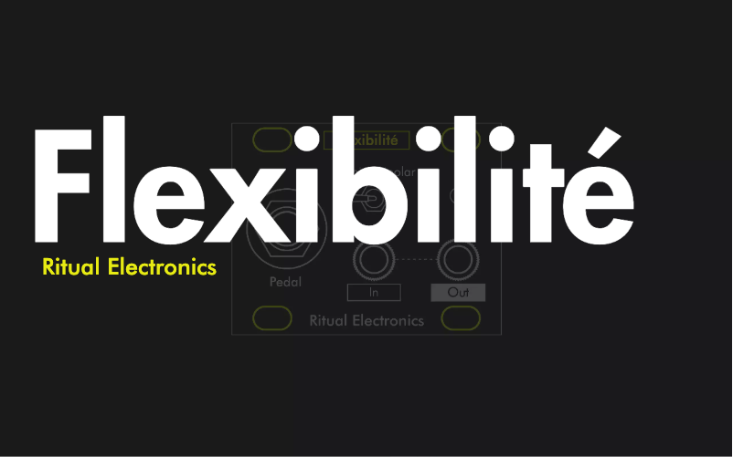 Imagen de la primera página del manual del dispositivo Flexibilité