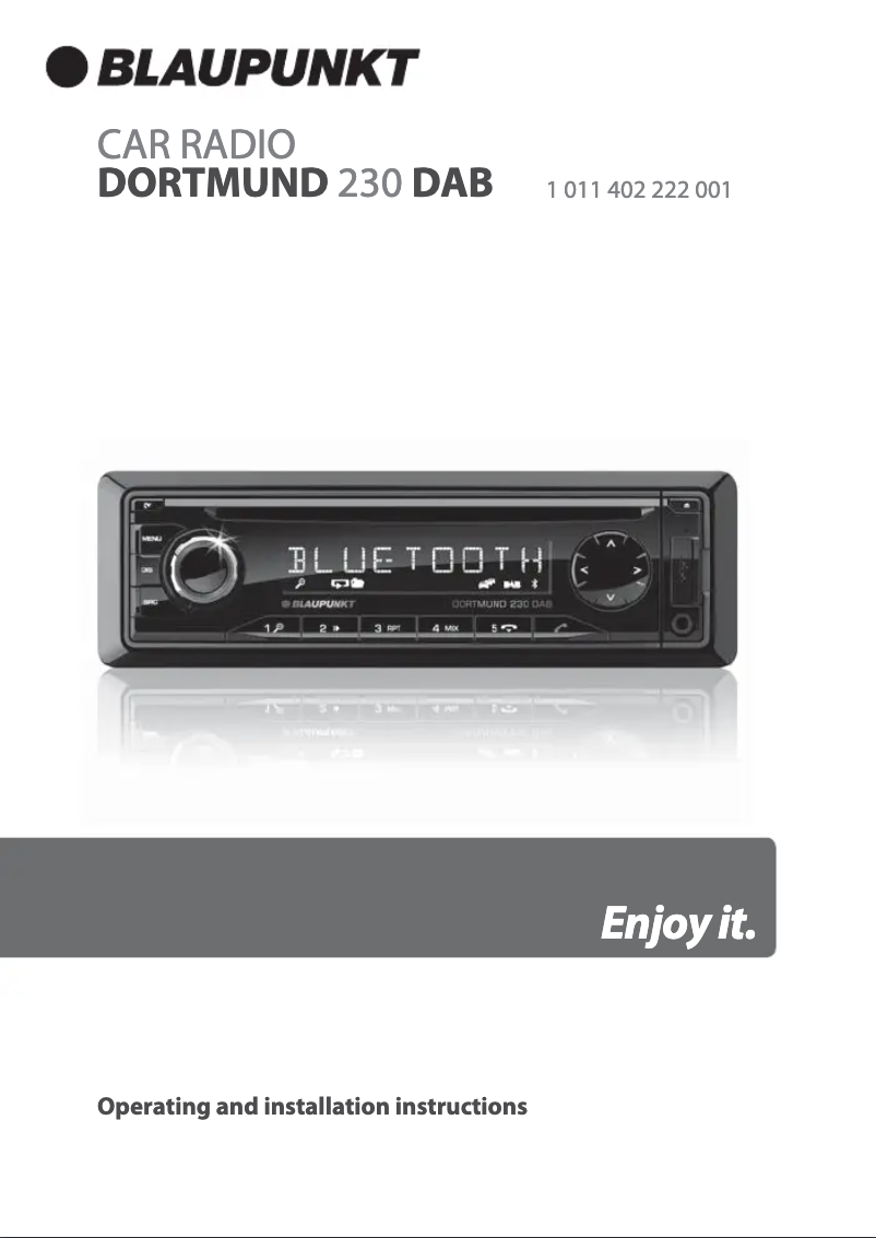 Página 1 del manual Manual de usuario Blaupunkt Dortmund 230 DAB