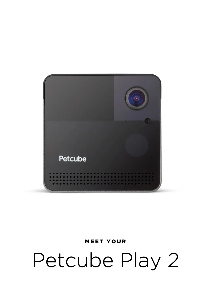 Imagen de la primera página del manual del dispositivo Play 2