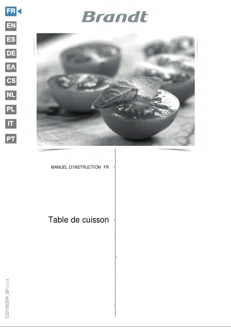 Imagen de la primera página del manual del dispositivo BPI1621UB