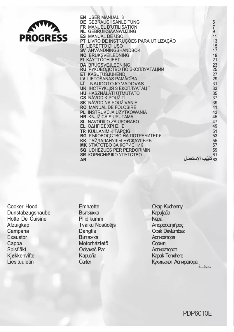 Imagen de la primera página del manual del dispositivo PDP6010E