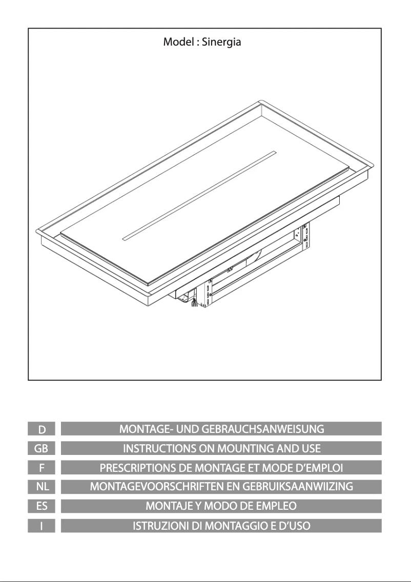 Imagen de la primera página del manual del dispositivo Sinergia