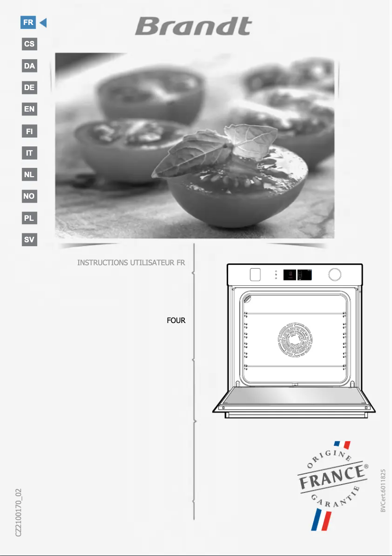 Imagen de la primera página del manual del dispositivo BOR7586BB