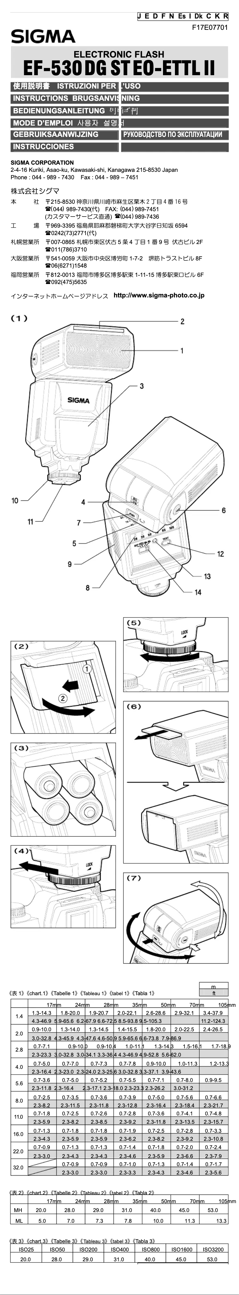 Imagen de la primera página del manual del dispositivo EF-530 DG ST (for Canon)