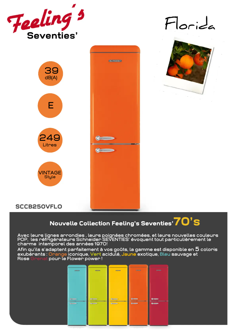Imagen de la primera página del manual del dispositivo SCCB250VFLO