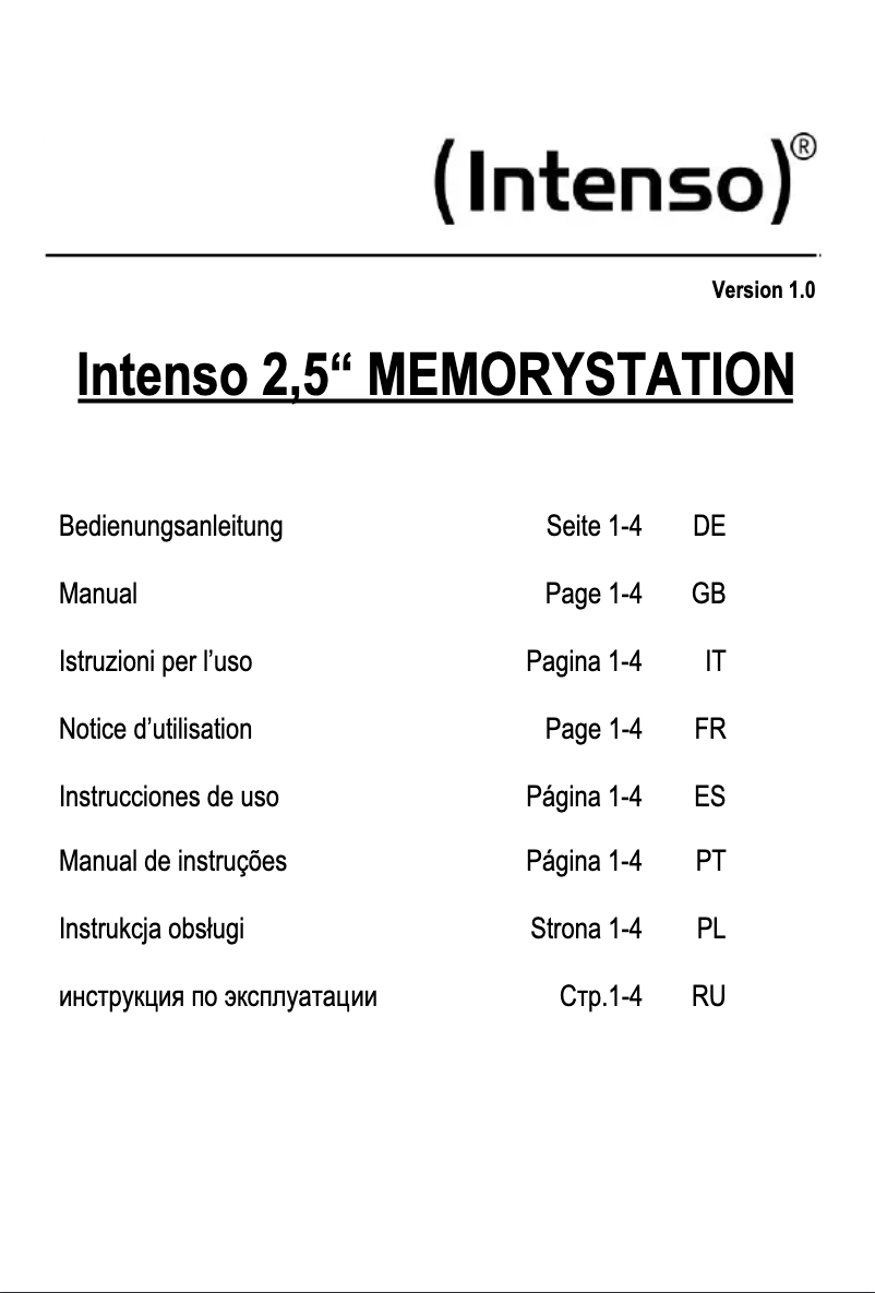 Página 1 del manual Manual de usuario Intenso Memory Station