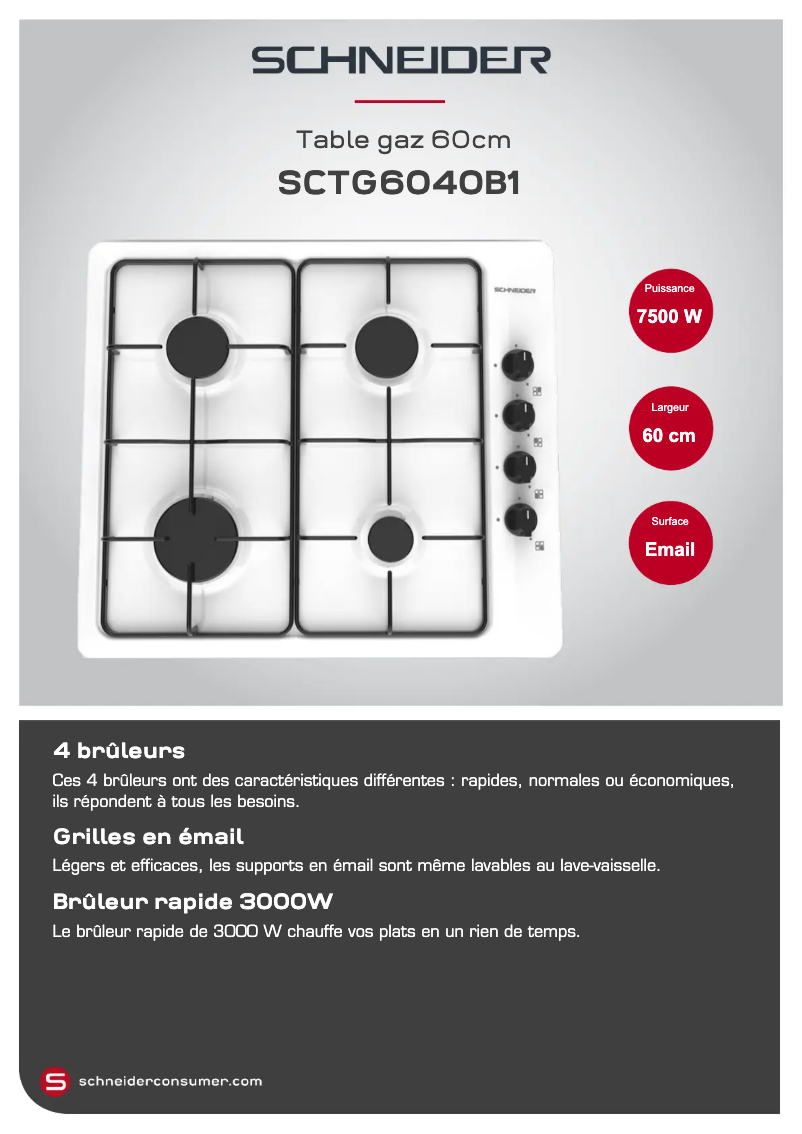 Página nº 1 - Ficha técnica Schneider SCTG6040B1