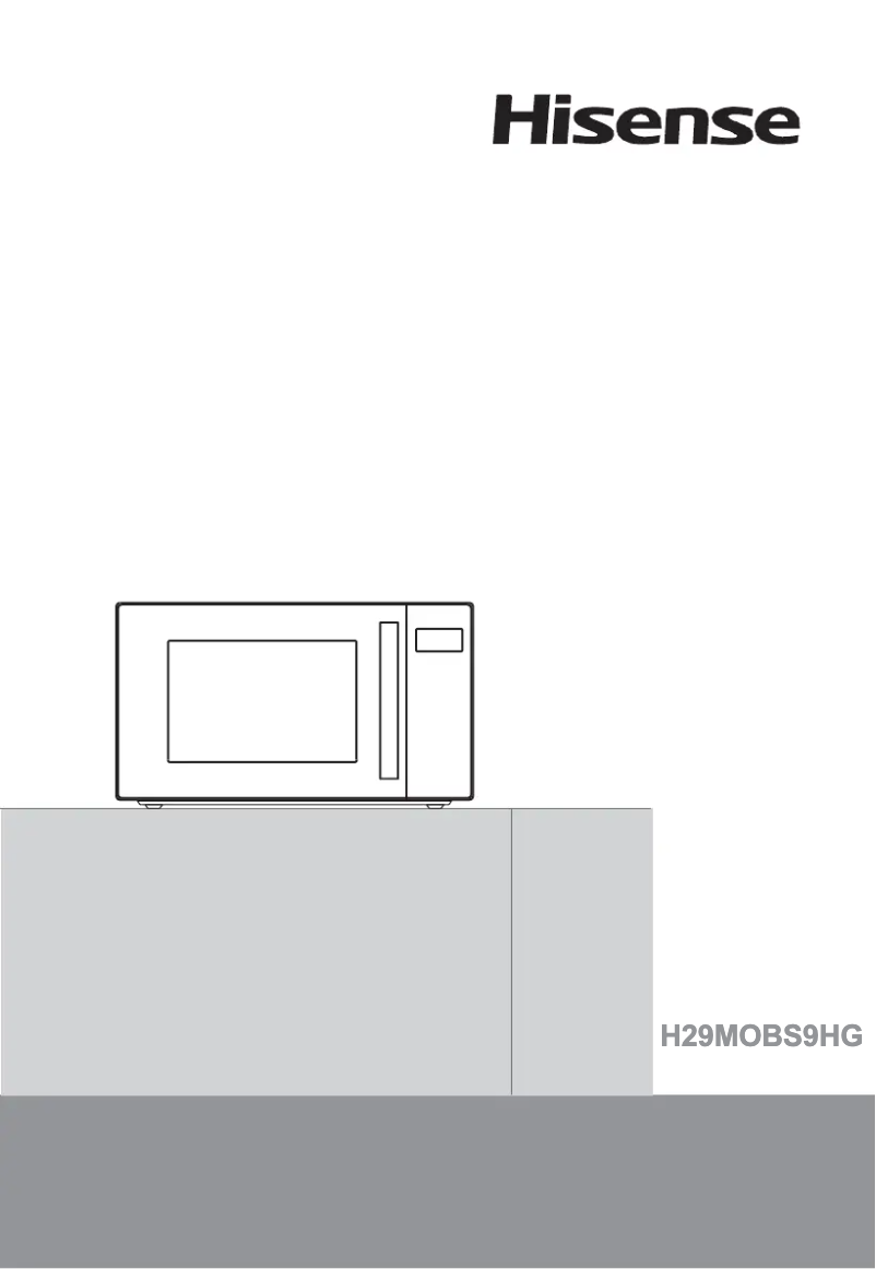 Página 1 del manual Manual de usuario Hisense H29MOBS9HG