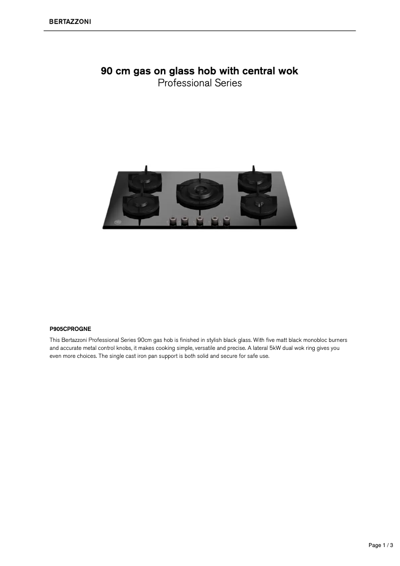 Imagen de la primera página del manual del dispositivo P905CPROGNE