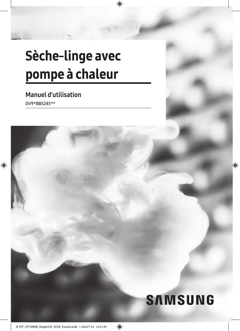 Imagen de la primera página del manual del dispositivo DV9EBB5245AW