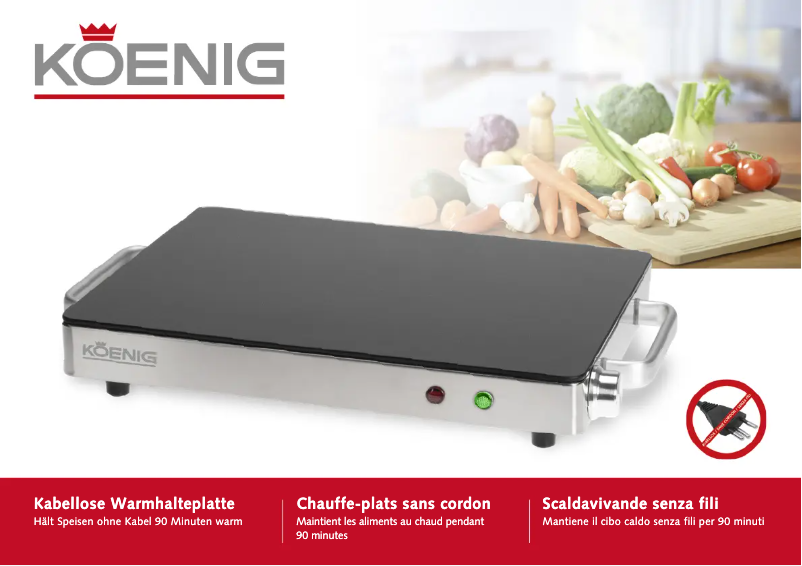 Imagen de la primera página del manual del dispositivo B02121