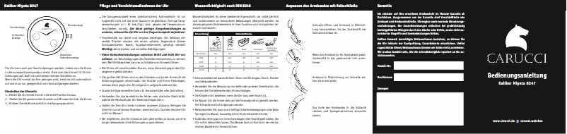 Página 1 del manual Manual de usuario Carucci Miyota 8247