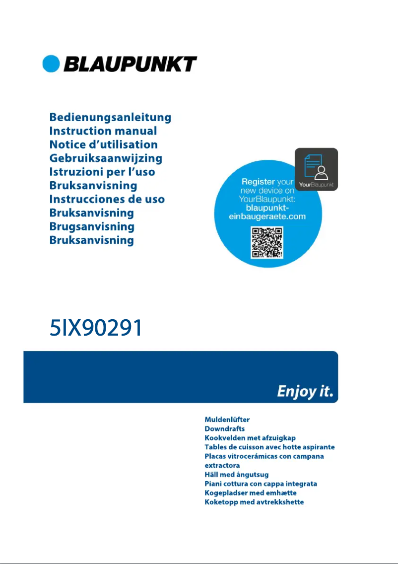 Página 1 del manual Guía de instalación Blaupunkt 5IX90291