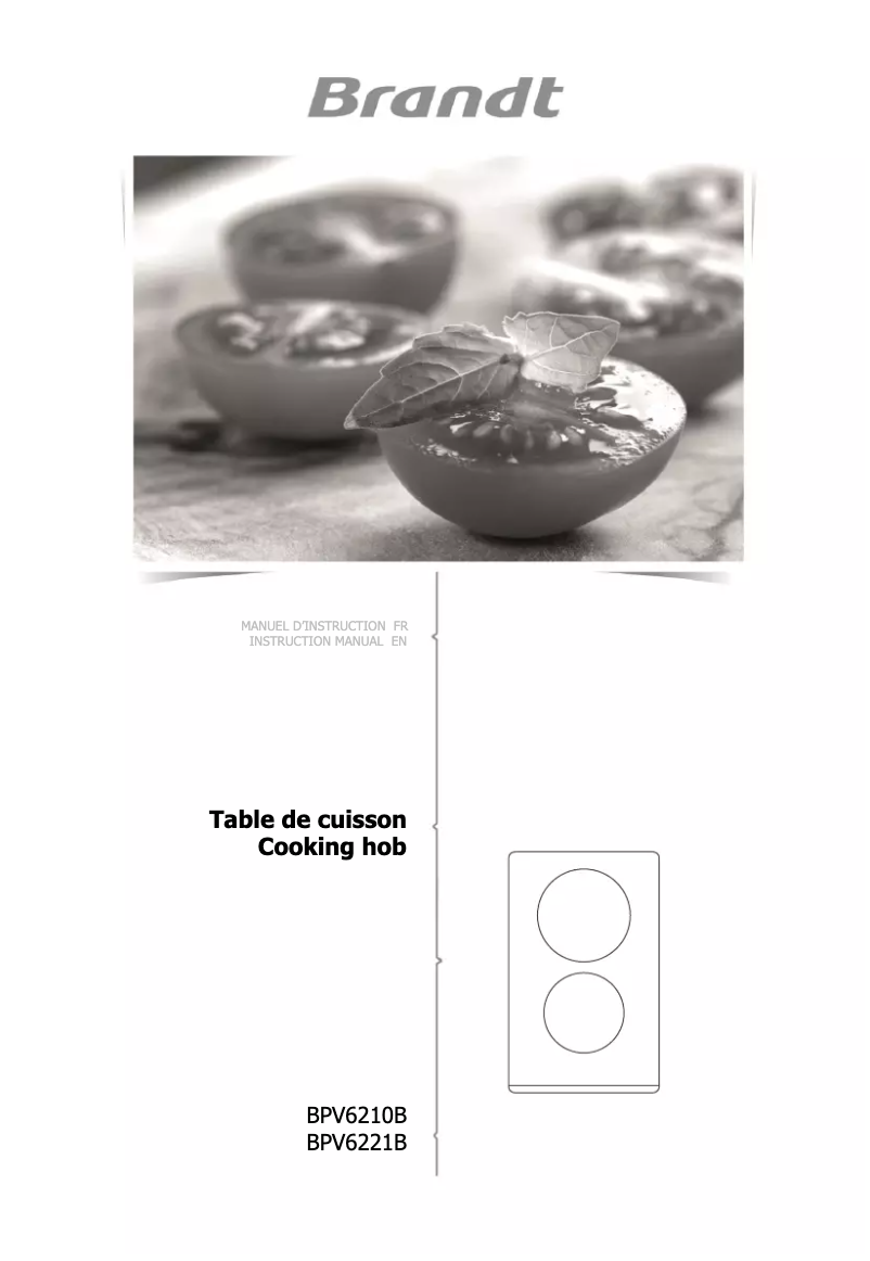 Página 1 del manual Manual de usuario Brandt BPV6221B
