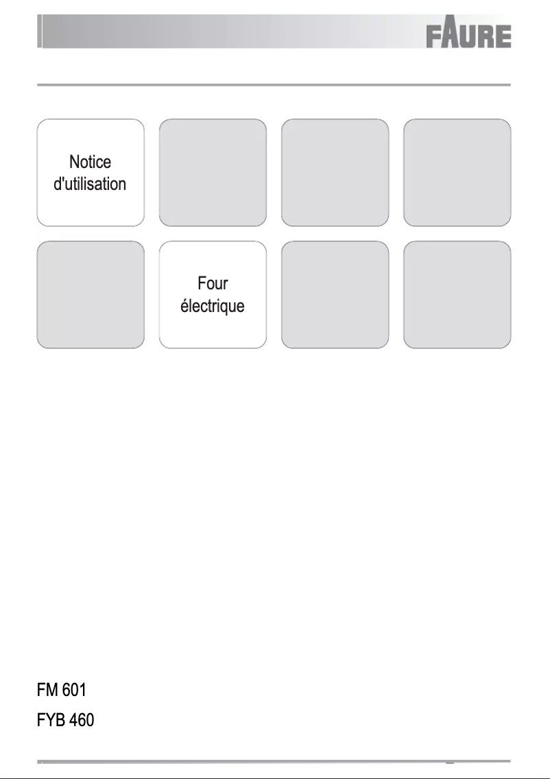 Página nº 1 - Manual de usuario Faure FM601X