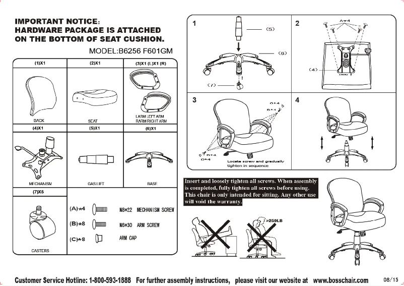 Imagen de la primera página del manual del dispositivo B6256
