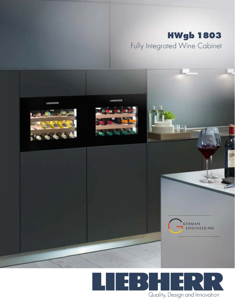 Imagen de la primera página del manual del dispositivo HWGB-1803