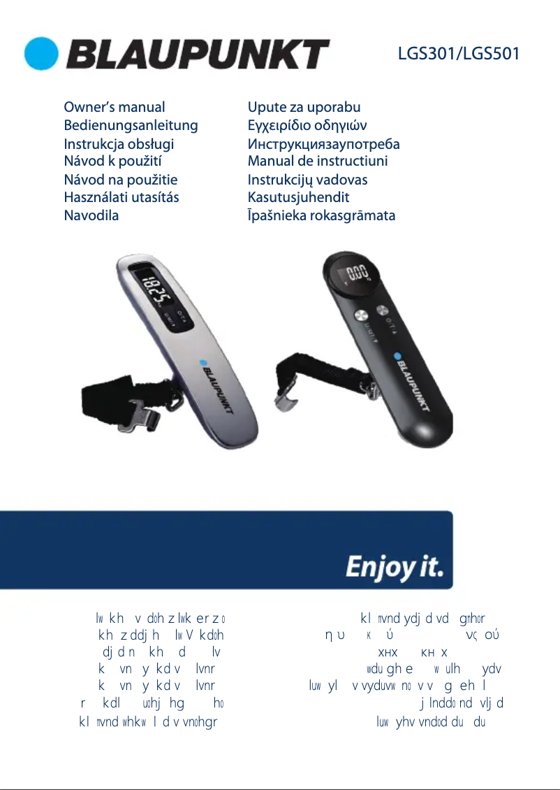 Página nº 1 - Manual de usuario Blaupunkt LGS301