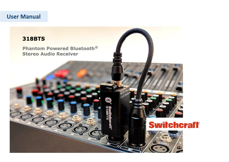 Imagen de la primera página del manual del dispositivo 318BTS