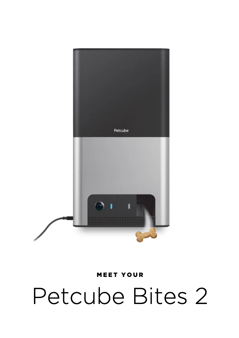 Imagen de la primera página del manual del dispositivo Bites 2