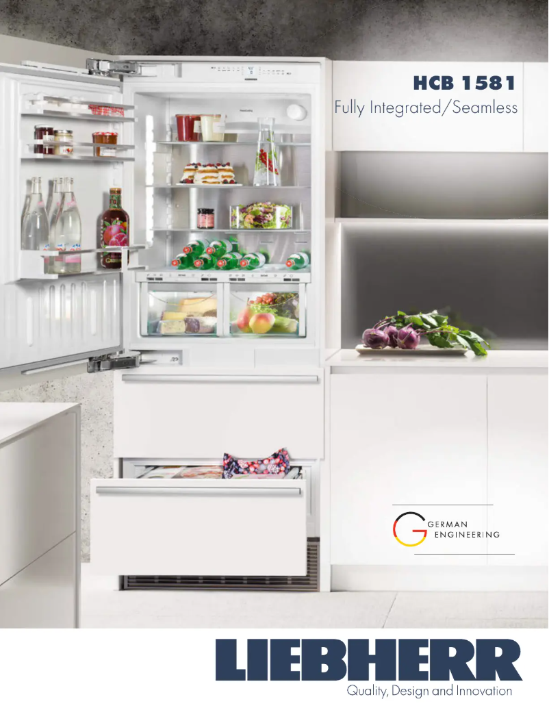 Imagen de la primera página del manual del dispositivo HCB 1581