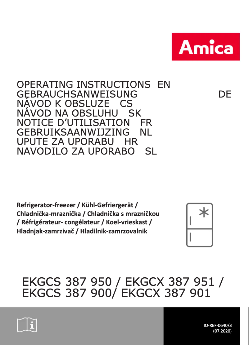 Imagen de la primera página del manual del dispositivo EKGCS 387 950