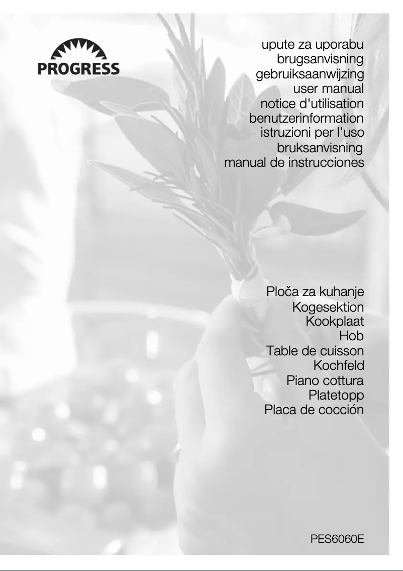 Imagen de la primera página del manual del dispositivo PES6060E