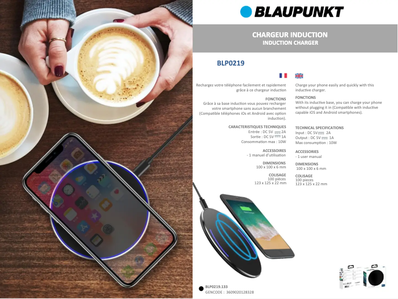 Página 1 del manual Ficha técnica Blaupunkt BLP0219