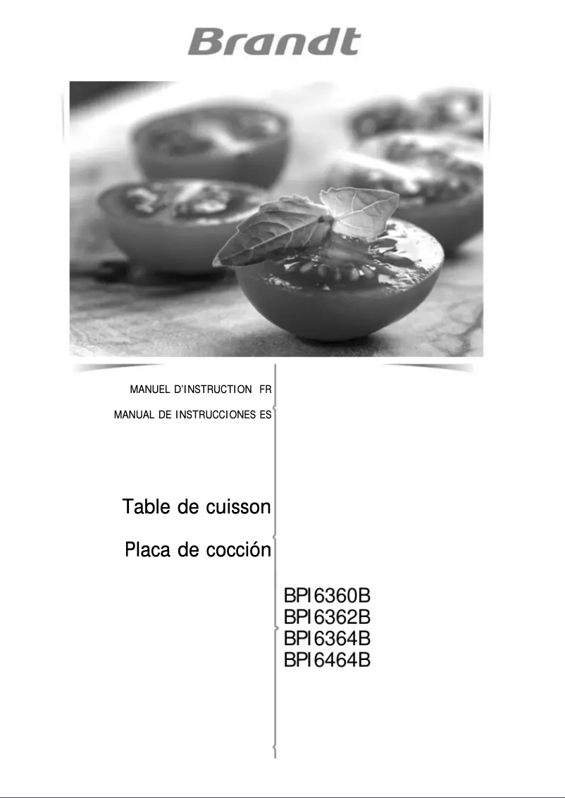 Imagen de la primera página del manual del dispositivo BPI3636B