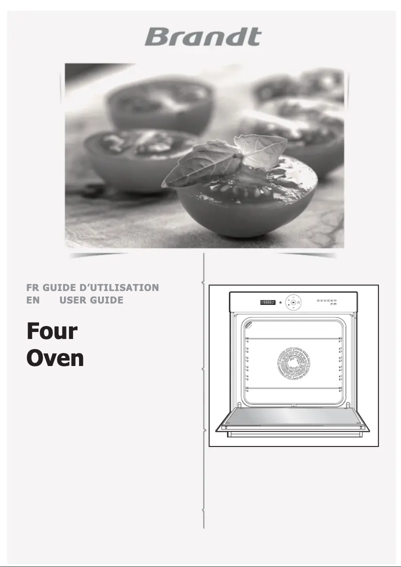 Imagen de la primera página del manual del dispositivo BXP6555X