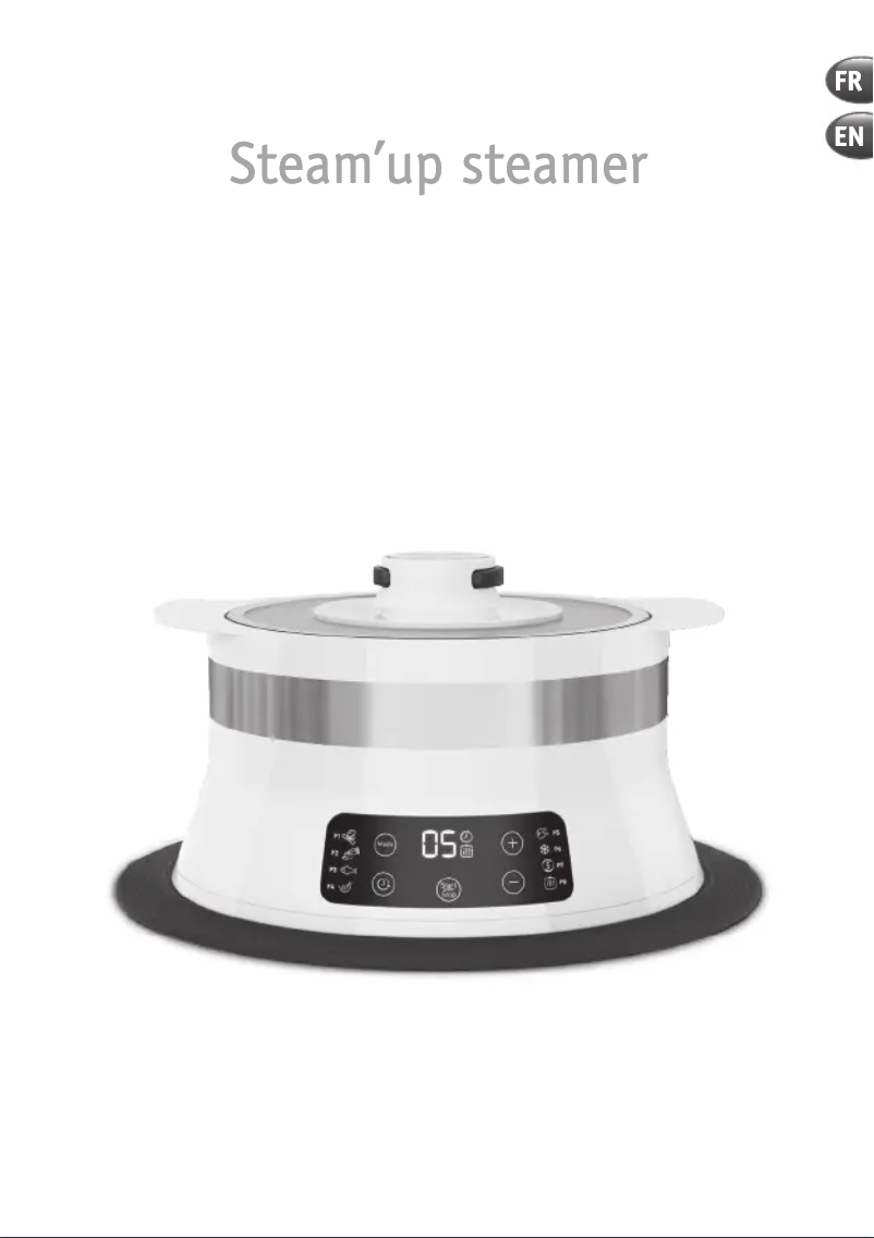 Página nº 1 - Manual de usuario Moulinex Steam'Up VJ504010