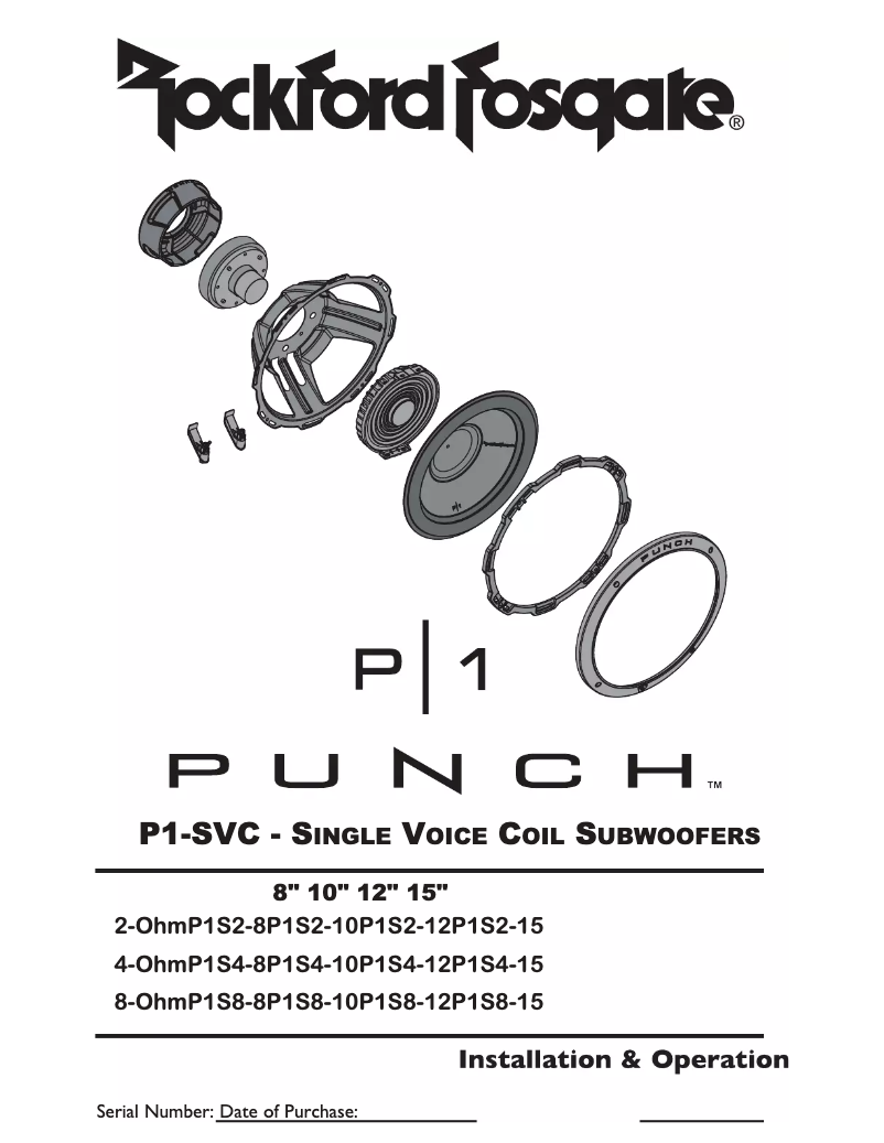 Imagen de la primera página del manual del dispositivo Punch P1S2-15