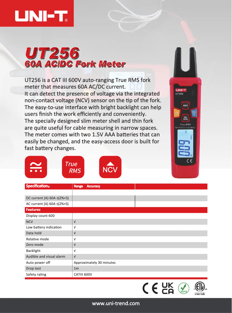 Página 1 del manual Ficha técnica Uni-T UT256