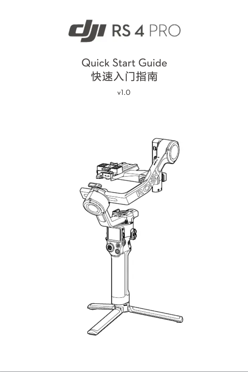 Imagen de la primera página del manual del dispositivo RS 4 Pro