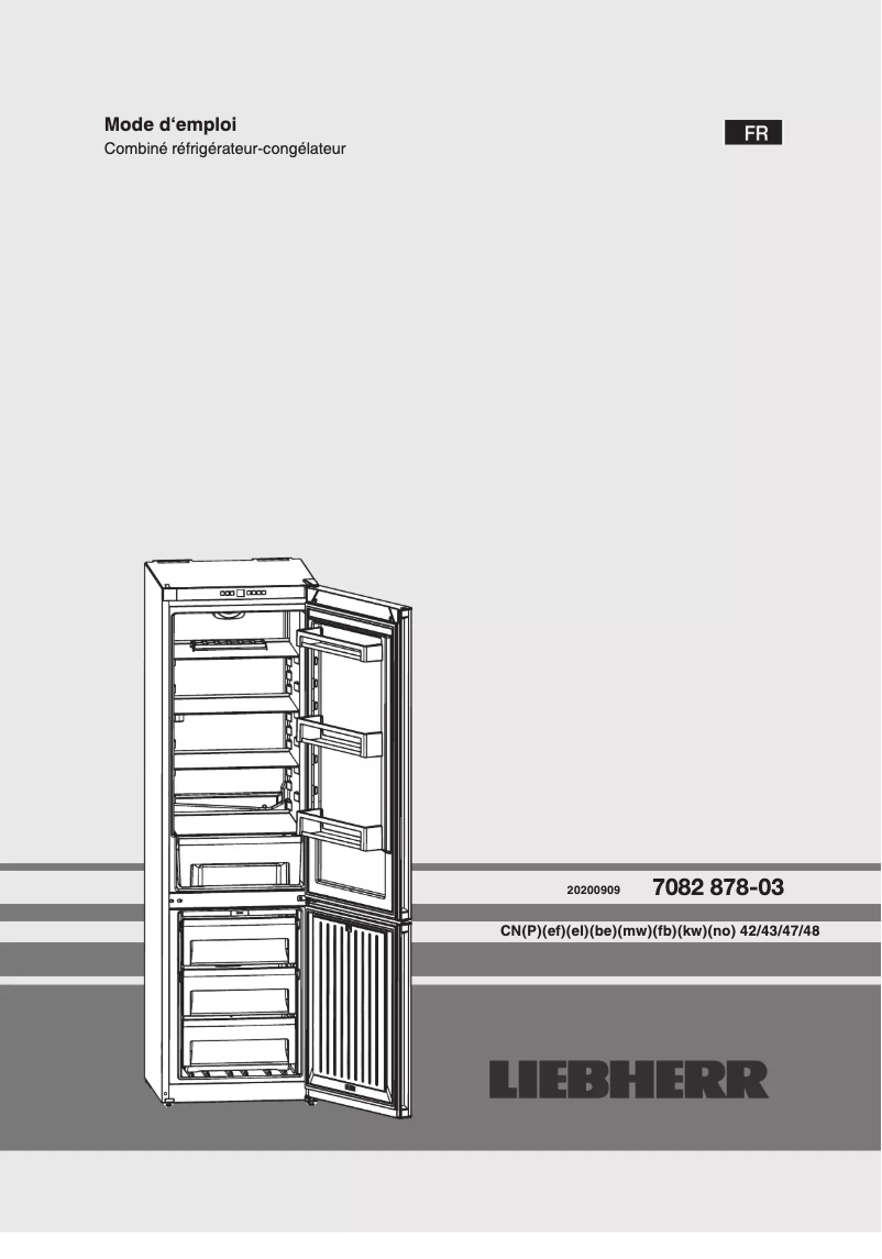 Imagen de la primera página del manual del dispositivo CNef 4313