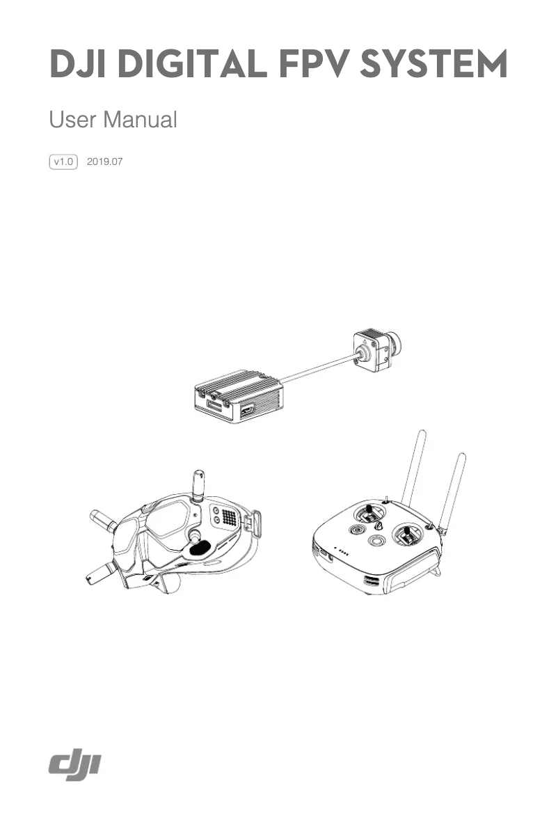 Imagen de la primera página del manual del dispositivo Digital FPV System