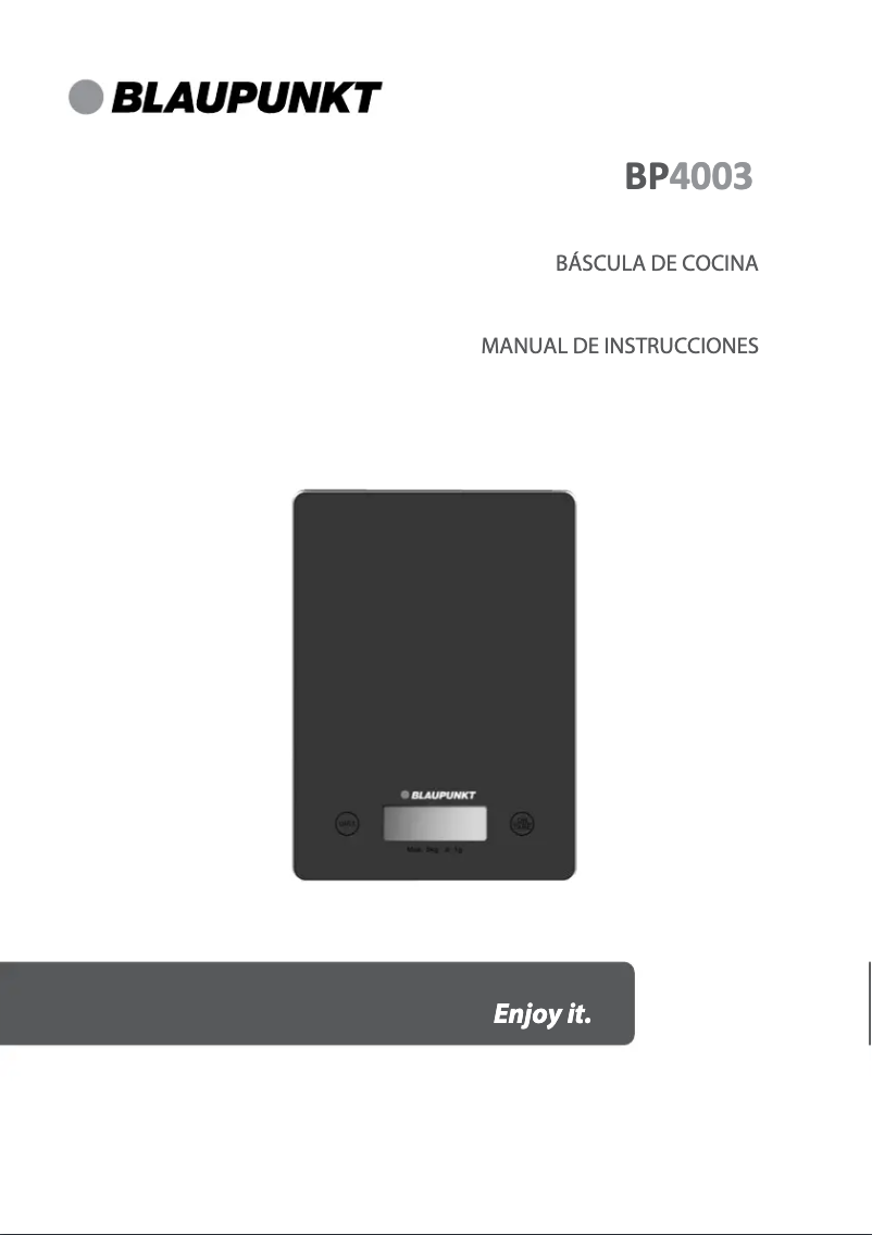 Página 1 del manual Manual de usuario Blaupunkt BP4003