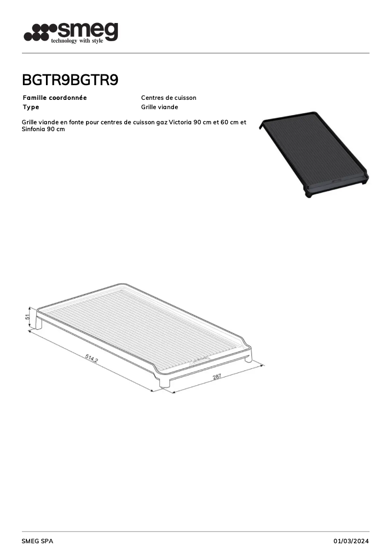 Imagen de la primera página del manual del dispositivo BGTR9