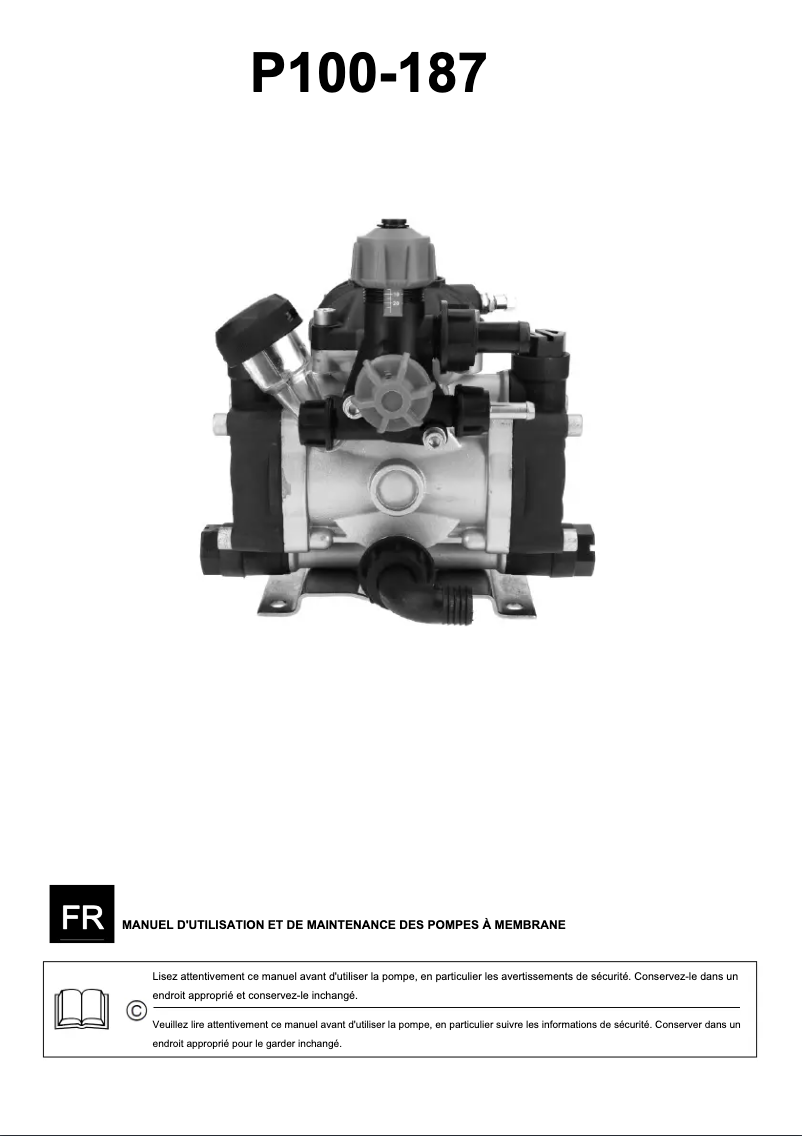 Imagen de la primera página del manual del dispositivo P102